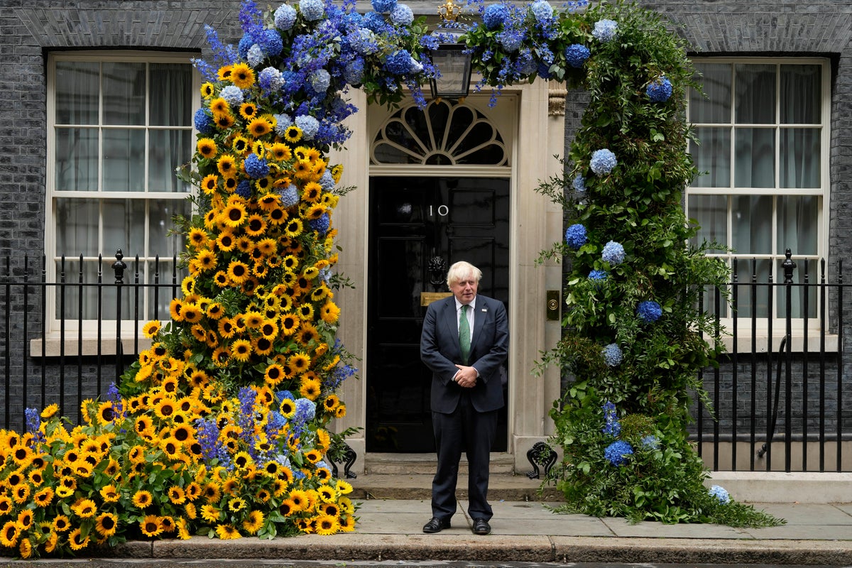Downing St transformé avec des tournesols pour montrer sa solidarité avec l'Ukraine