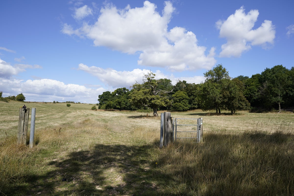 "Inhabituellement sec" en août, des sommets de 28 ° C sont attendus dimanche alors que la canicule se poursuit