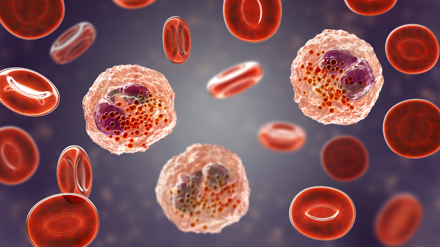 Comment les cellules communiquent-elles ?  Réponses de Sandra Murray : Onde courte : NPR