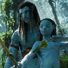 Plongez : les scènes sous-marines d'Avatar sont immersives et extraordinaires