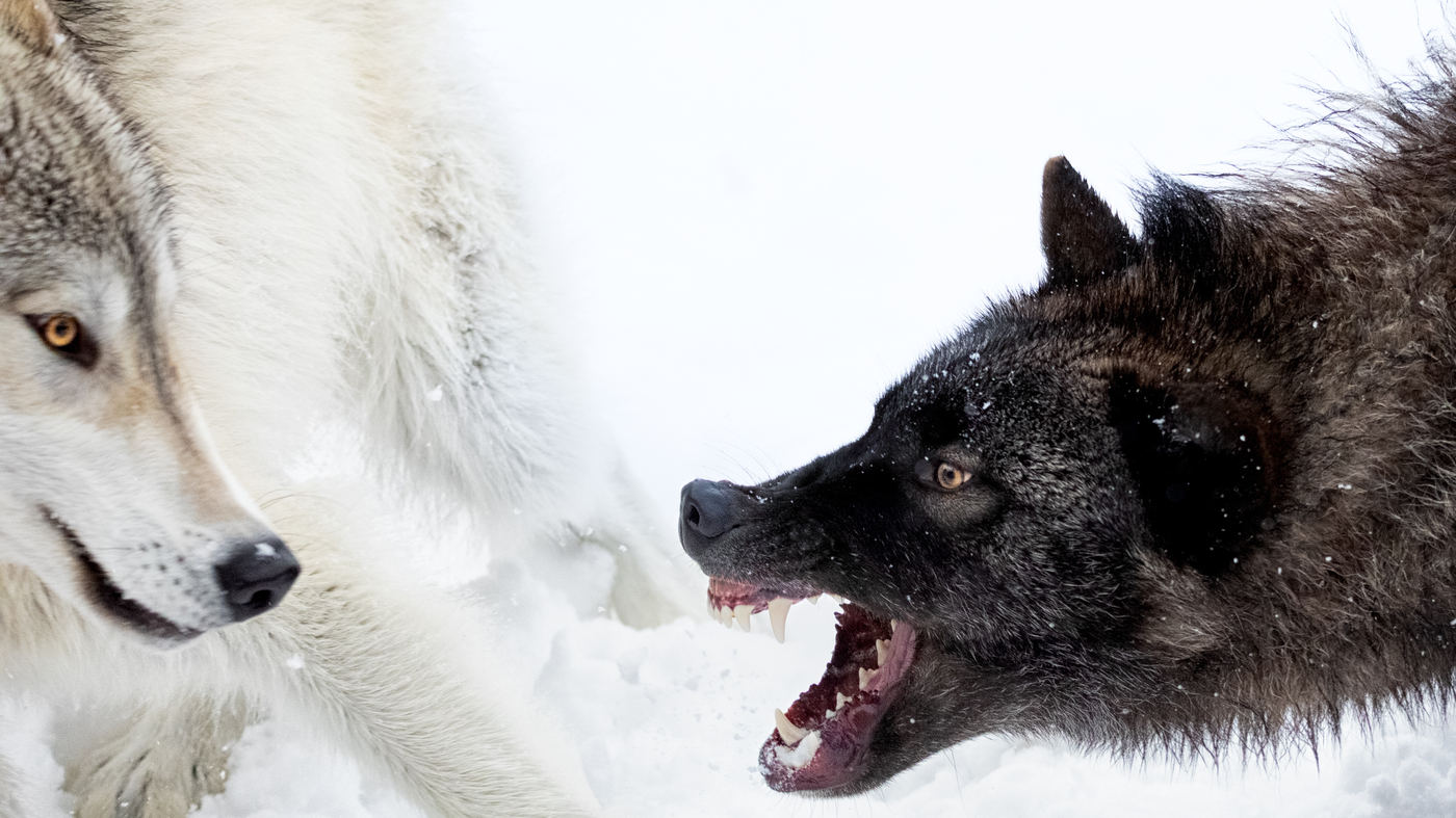 Quand les choses s'effondrent