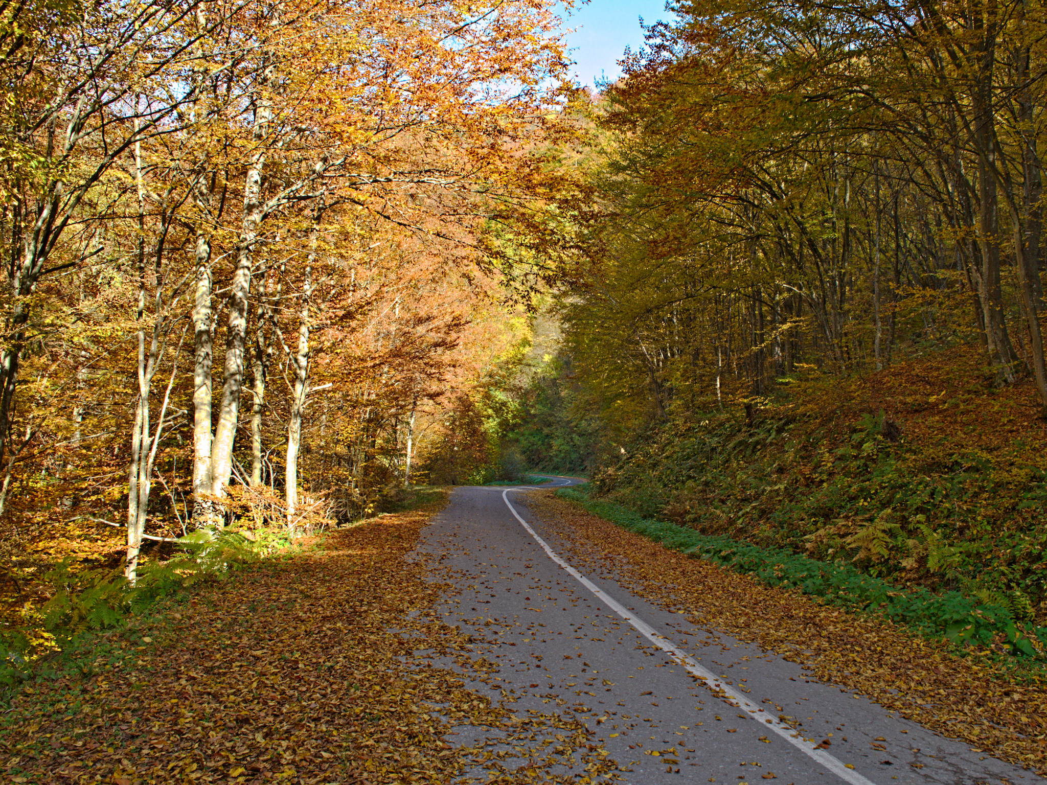 Le plus long chemin de fer de la Nouvelle-Angleterre ouvrira ce printemps