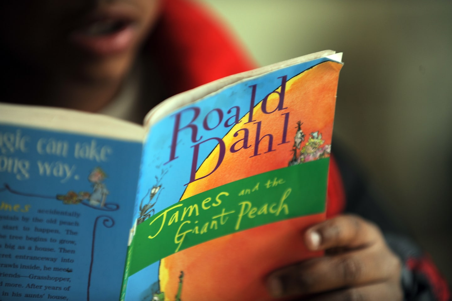 Roald Dahl révise une "censure absurde", déclare Salman Rushdie