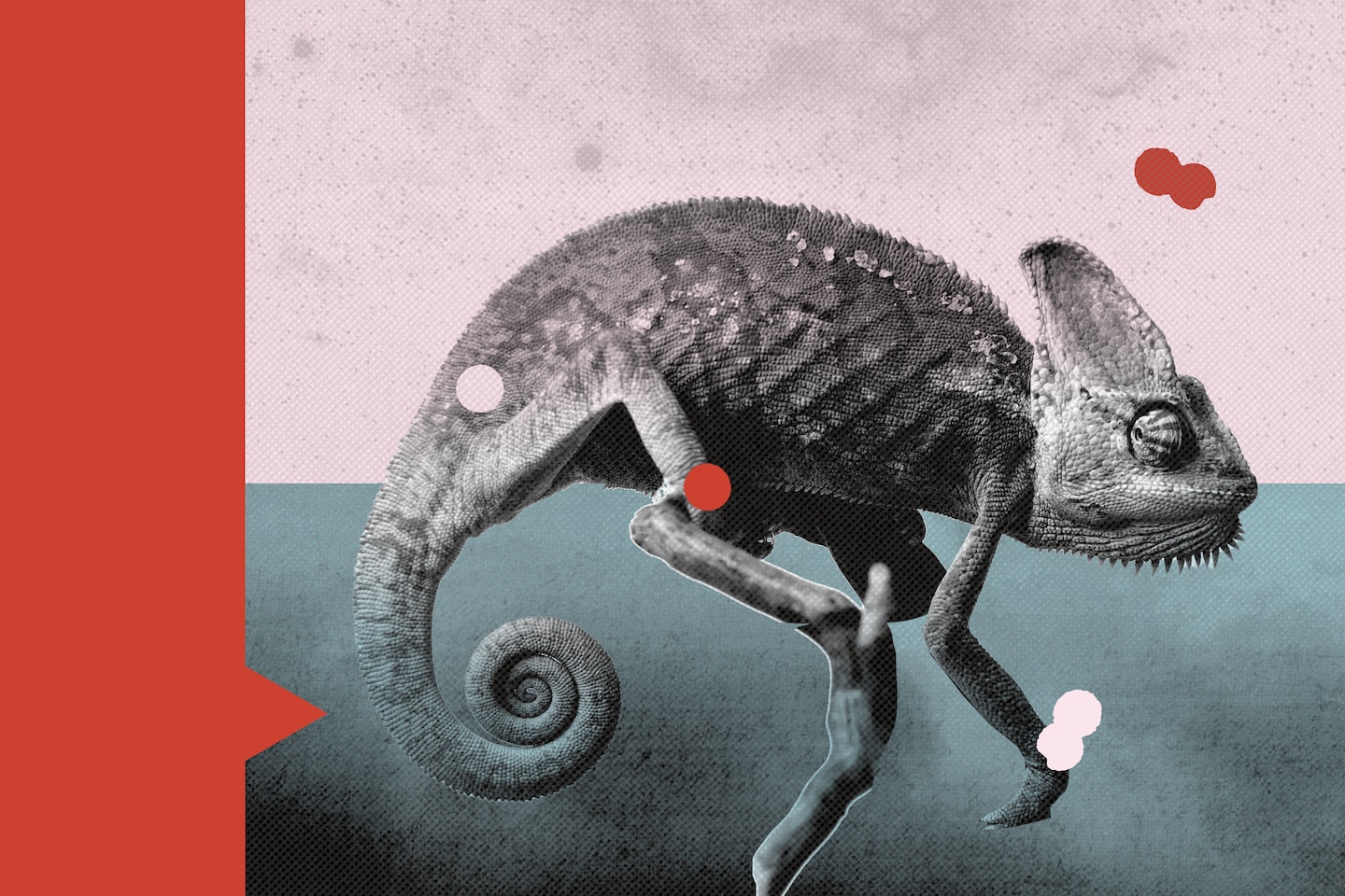 Demandez à Elaine : Je suis bouleversée par mon nouveau bébé et mon nouveau travail