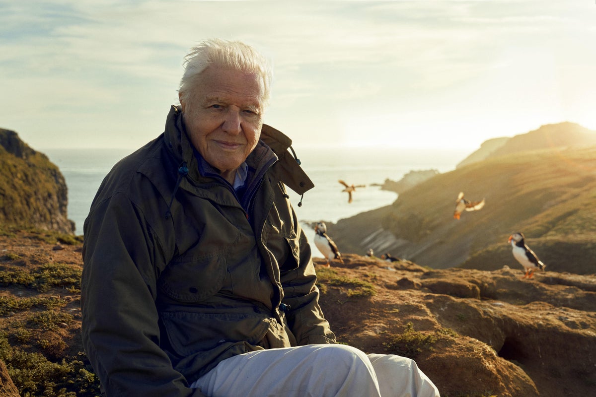 La série Sir David Attenborough centrée sur les îles britanniques sera lancée sur la BBC