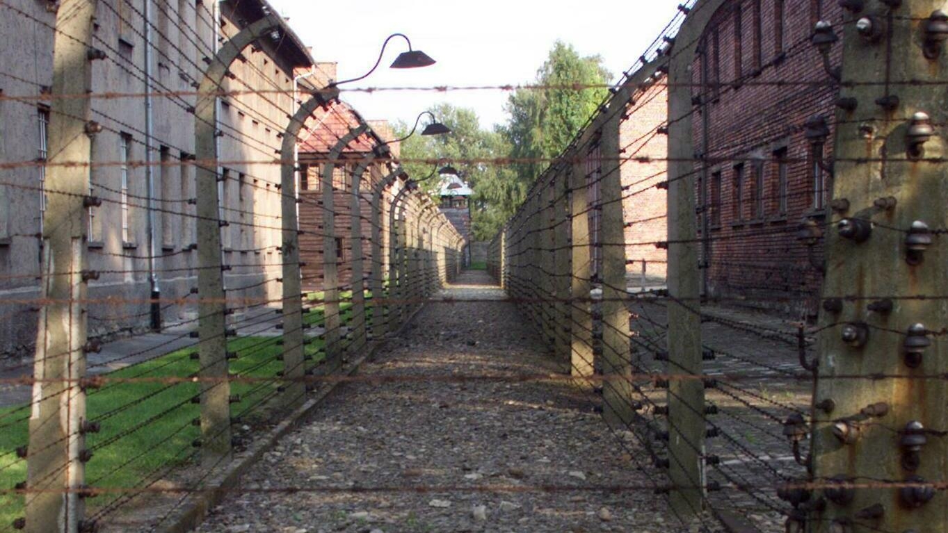 Auschwitz Memorial appelle la WWE "sans vergogne" pour avoir utilisé son image dans une promo de match