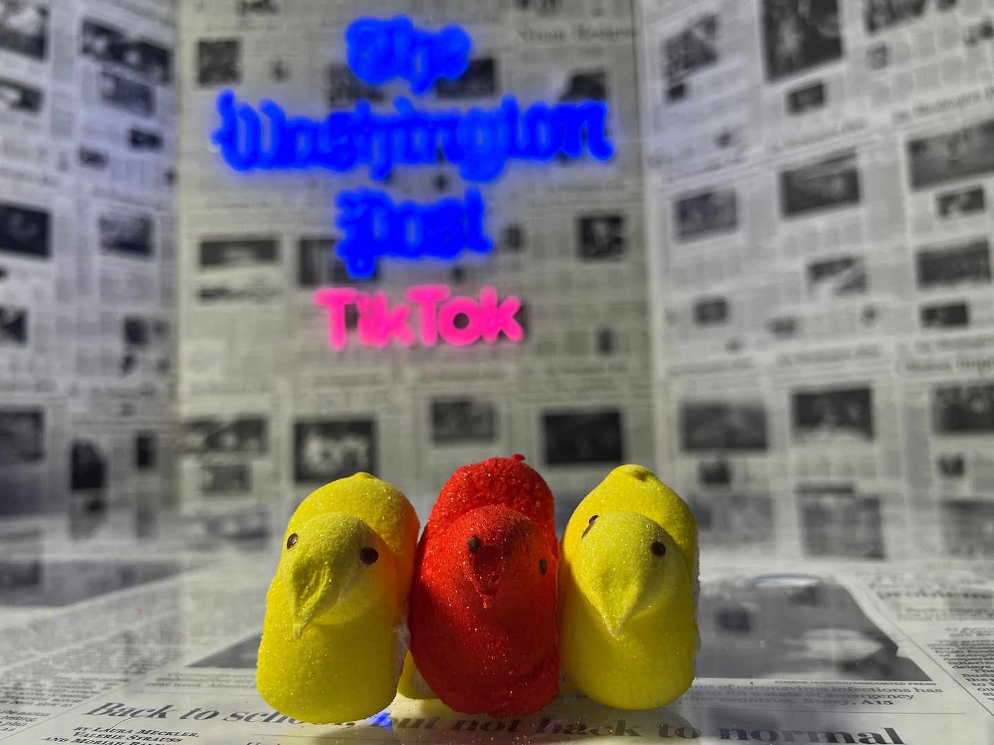 Le Washington Post annonce les gagnants du concours Peeps Diorama