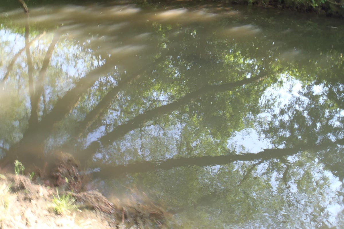 Les travaillistes s'engagent à introduire des mesures pour mettre fin au déversement des eaux usées dans les cours d'eau