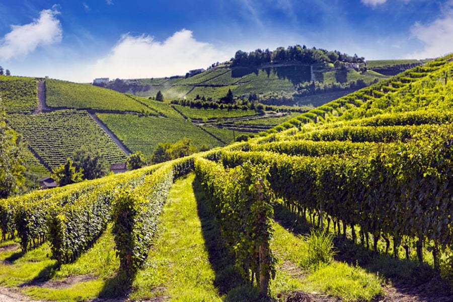 Comment les satellites aident les établissements vinicoles à choisir de nouveaux sites respectueux du climat