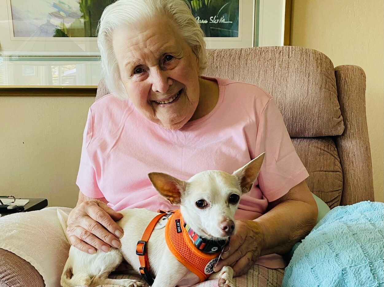 Johanna Carrington, 101 ans, vient d'adopter un chien âgé