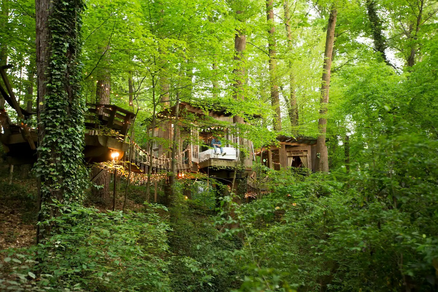 La cabane dans les arbres la plus populaire d'Airbnb est toujours disponible à la réservation cet été