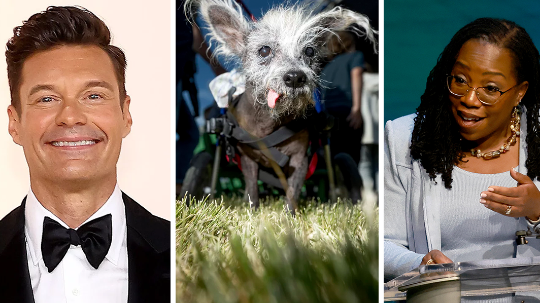 Quiz d'actualité hebdomadaire : des chiens laids à SCOTUS et un nouvel animateur de jeu télévisé brillant