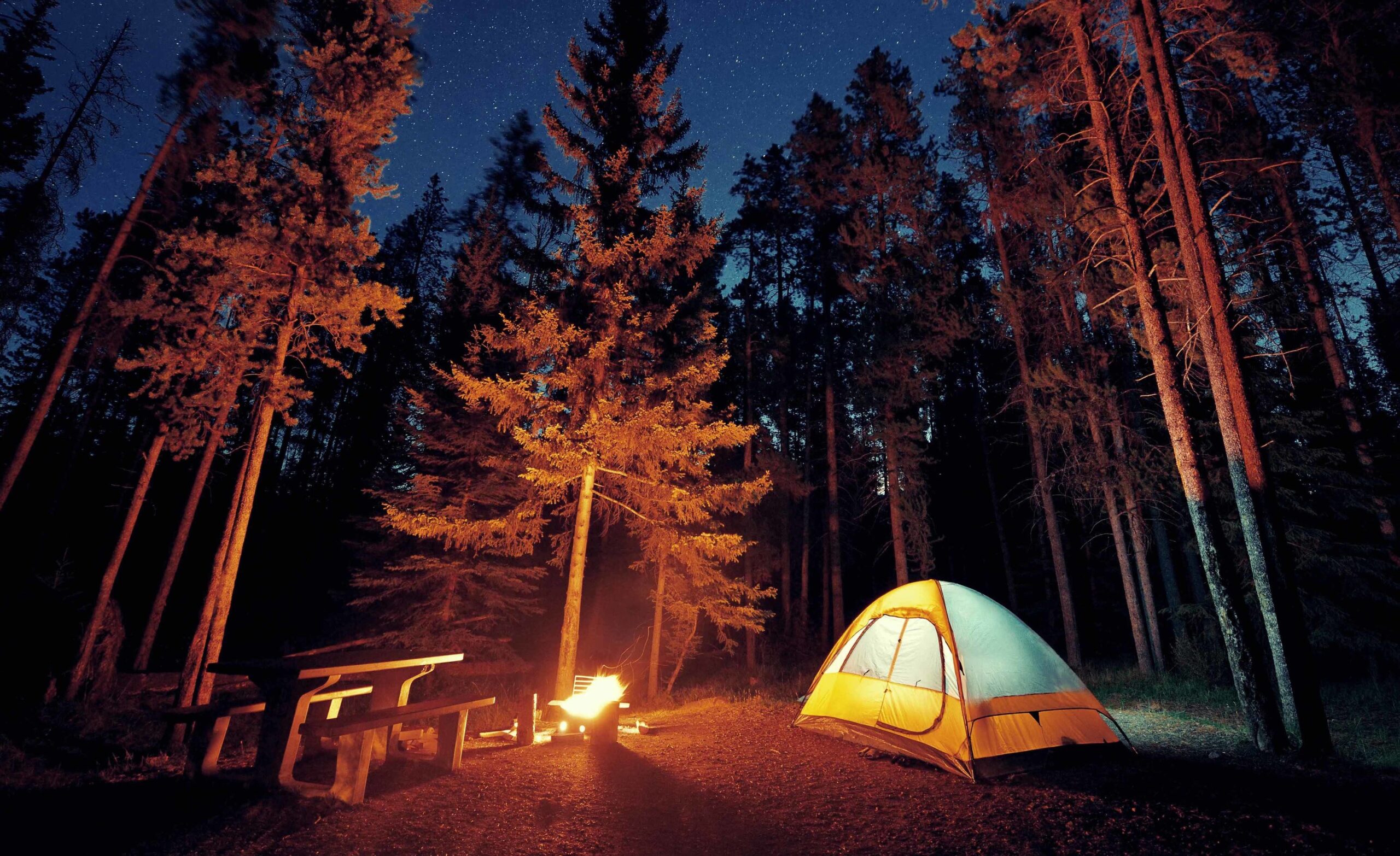 C'est officiel : le camping solo est en hausse alors que les amoureux de la nature recherchent la solitude