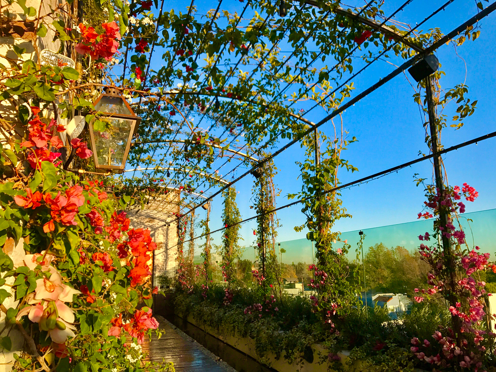 Réservez une table dans l'un des restaurants les plus populaires de TikTok aux États-Unis