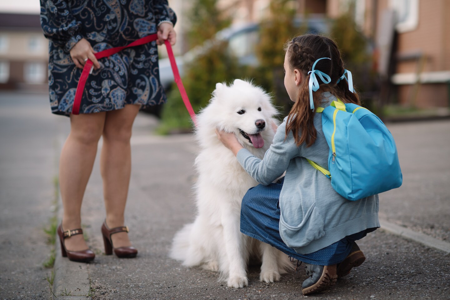 7 façons d'aider votre chien à s'adapter à la rentrée scolaire