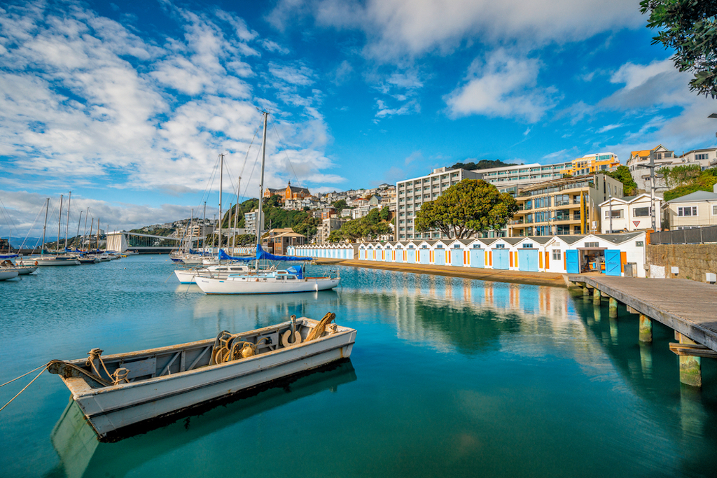 Cette ville néo-zélandaise demande aux Américains de s'y installer, voici pourquoi