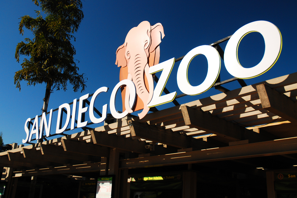 Une expérience d'éléphant massive et immersive s'ouvre au zoo de San Diego