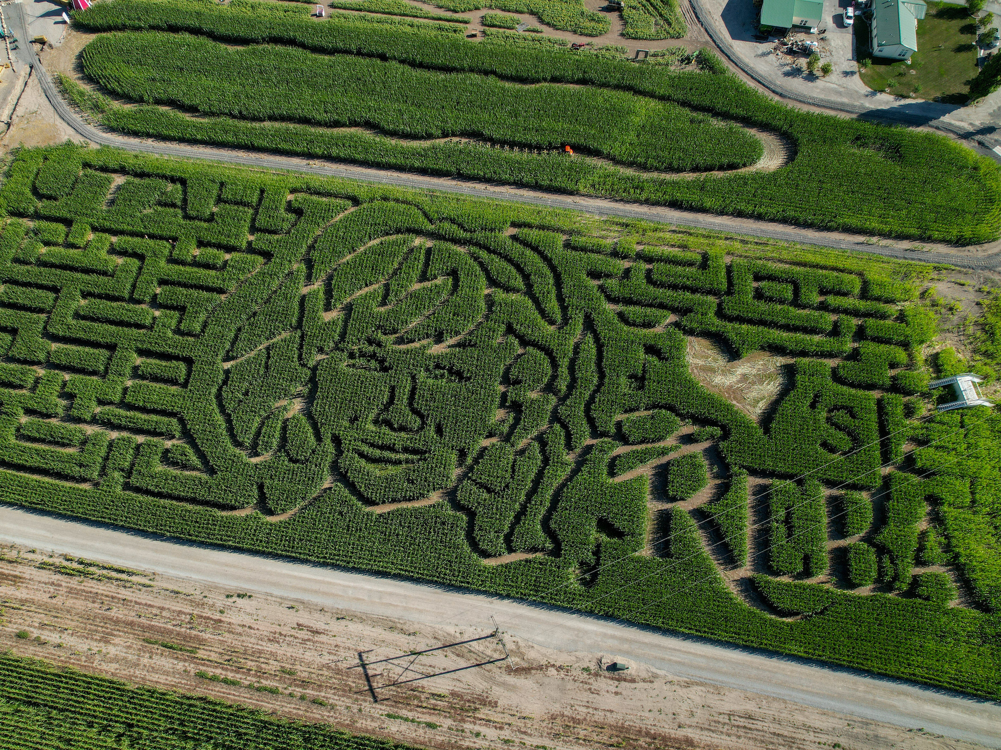Trouvez votre chemin dans un labyrinthe de maïs Reba McEntire cet automne