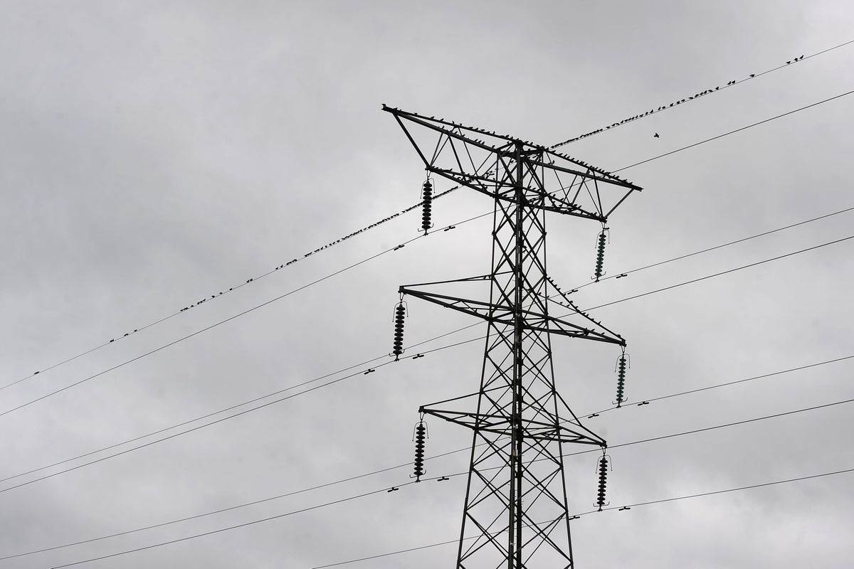 Les ménages doivent être protégés des bénéfices « excessifs » sur les factures d’électricité
