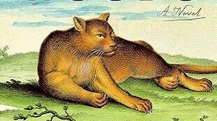 « North Woods » raconte l'histoire d'un lieu et de ses habitants au fil des siècles