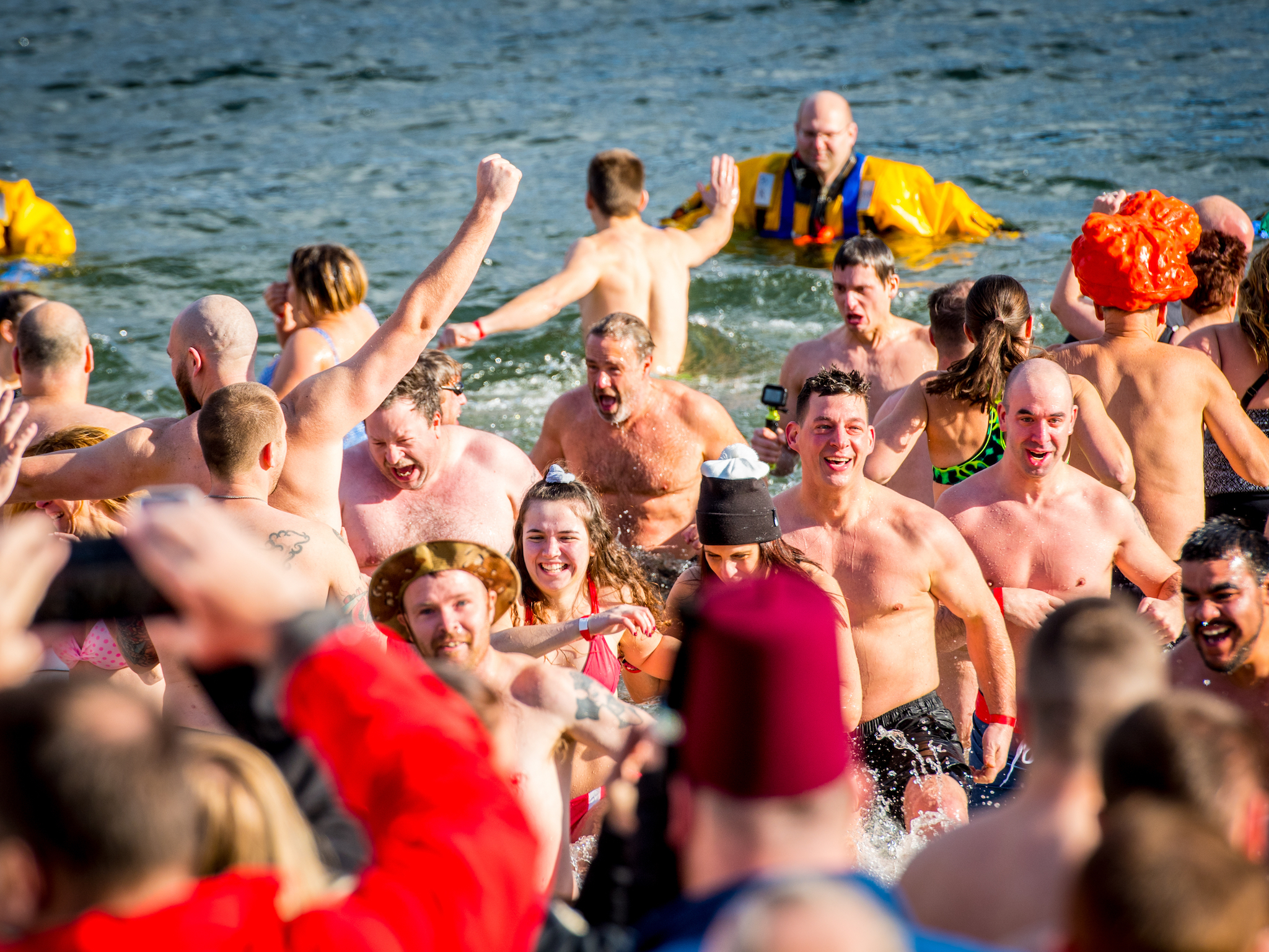 A quoi ça sert de plonger un ours polaire ?