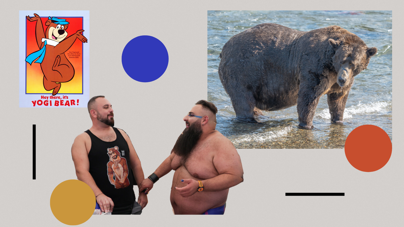 C'est la Fat Bear Week - mais notre fascination pour les ours est intemporelle