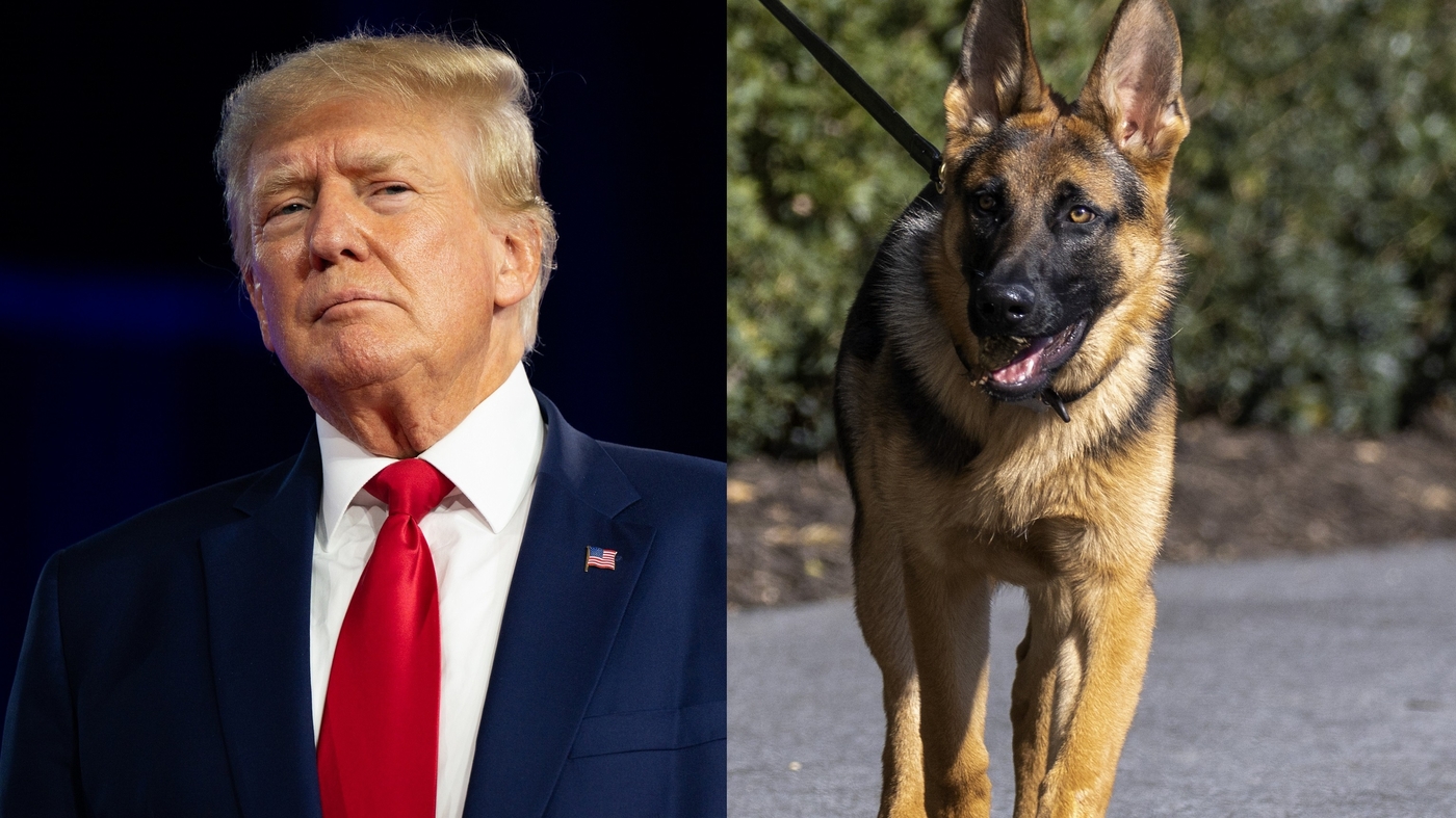 Du surnom de Trump au mauvais comportement du commandant Biden, saurez-vous battre le quiz d'actualité ?