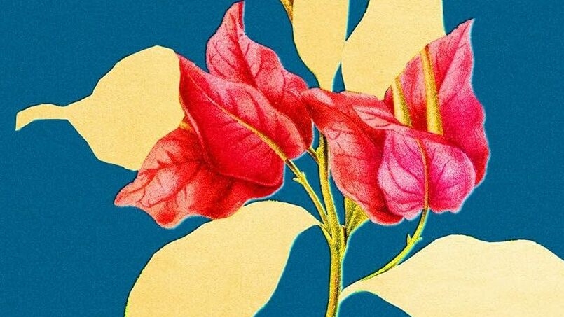 "Absolution" d'Alice McDermott transporte ses personnages emblématiques au Vietnam