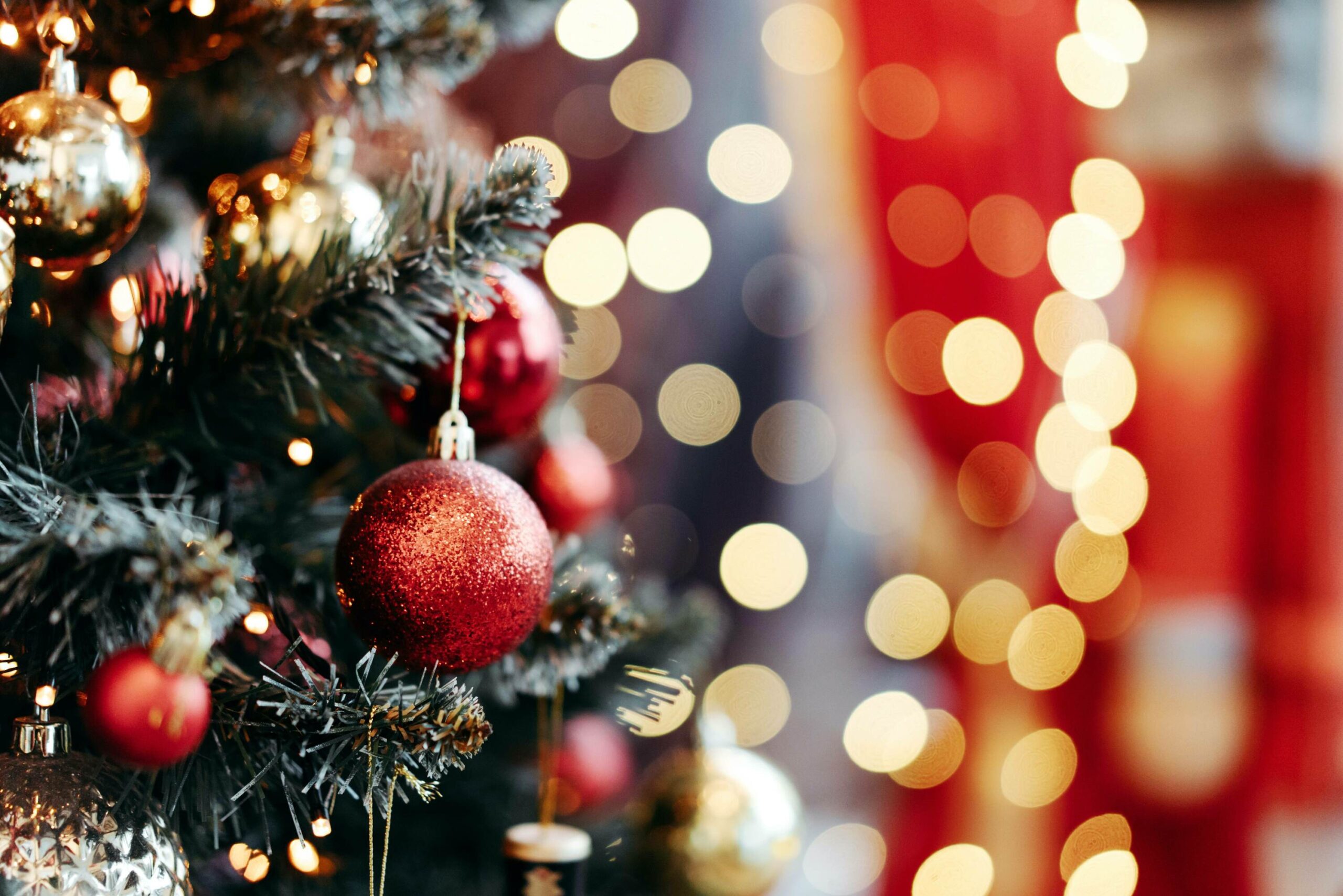 Cette ville américaine possèdera l'arbre de Noël le plus haut du monde en 2023