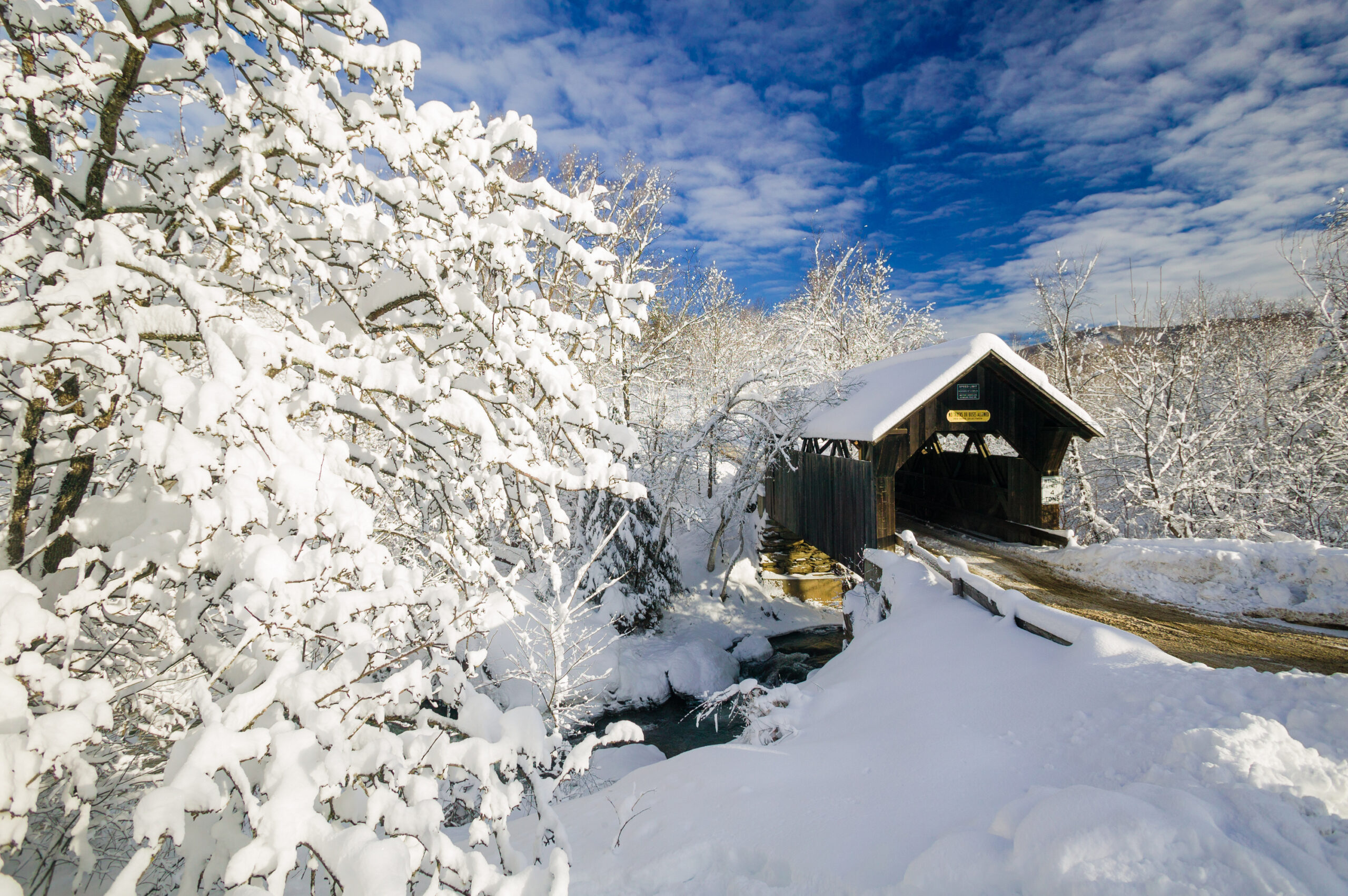 Les road trips et les vacances aux Caraïbes sont les principales tendances de voyage cet hiver