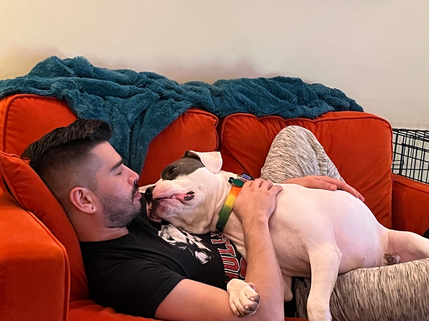 Un ancien imitateur d'Elvis a adopté le chien Elvis à Chicago