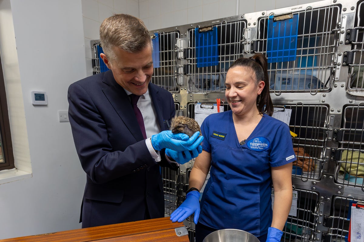 Le ministre pèse le hérisson alors qu'il dévoile un renforcement de la sécurité routière des animaux