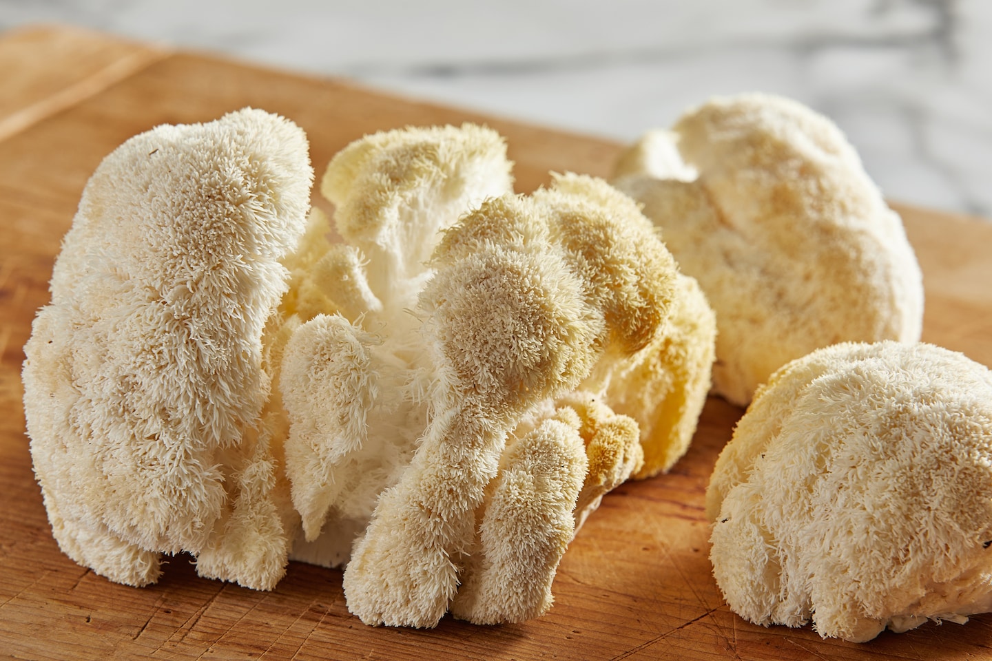 Les champignons crinière de lion peuvent jouer le rôle du crabe dans les plats à base de plantes