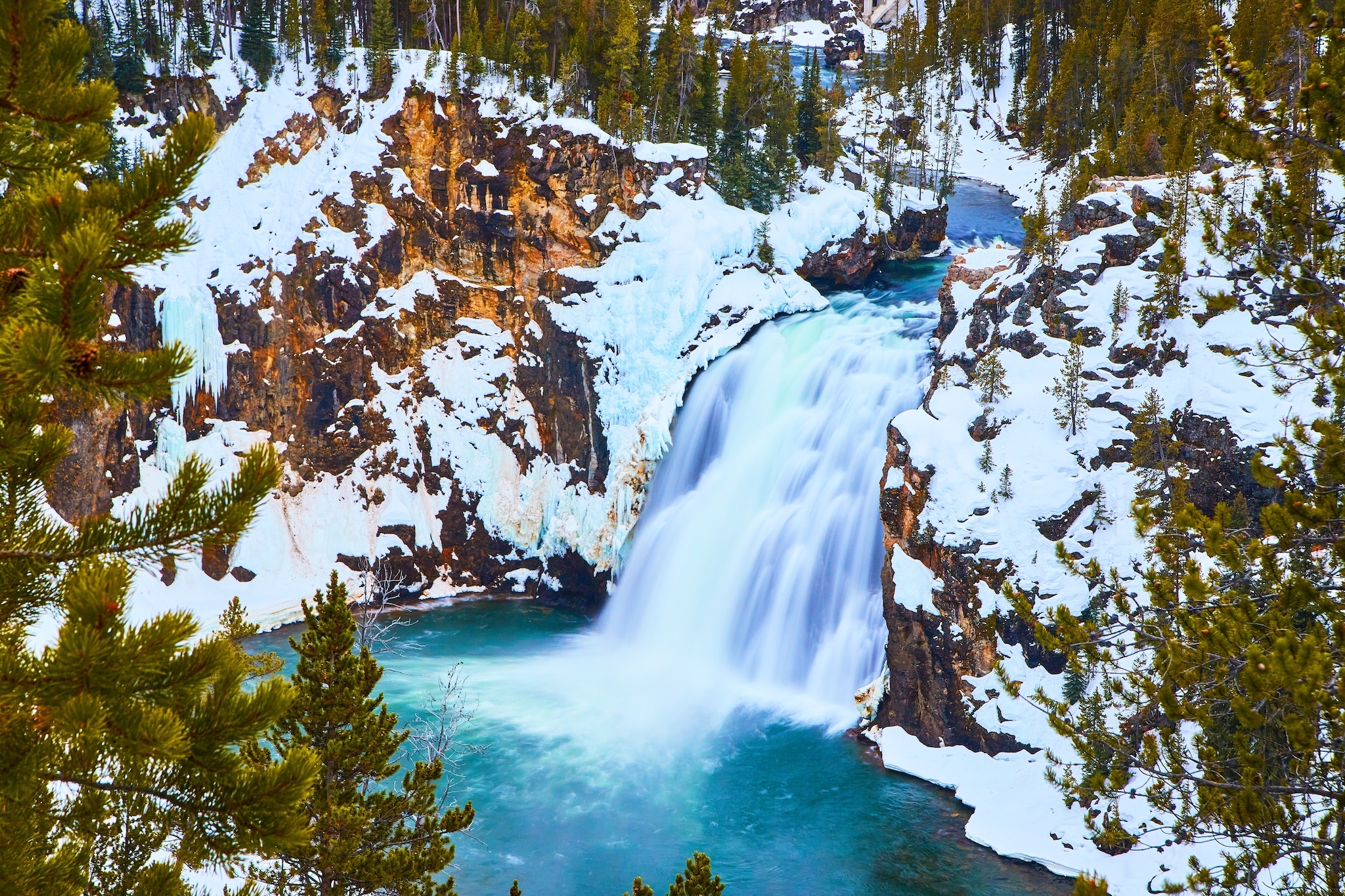 Vous voyagez à Yellowstone cet hiver ?  Voici ce que vous devez savoir.