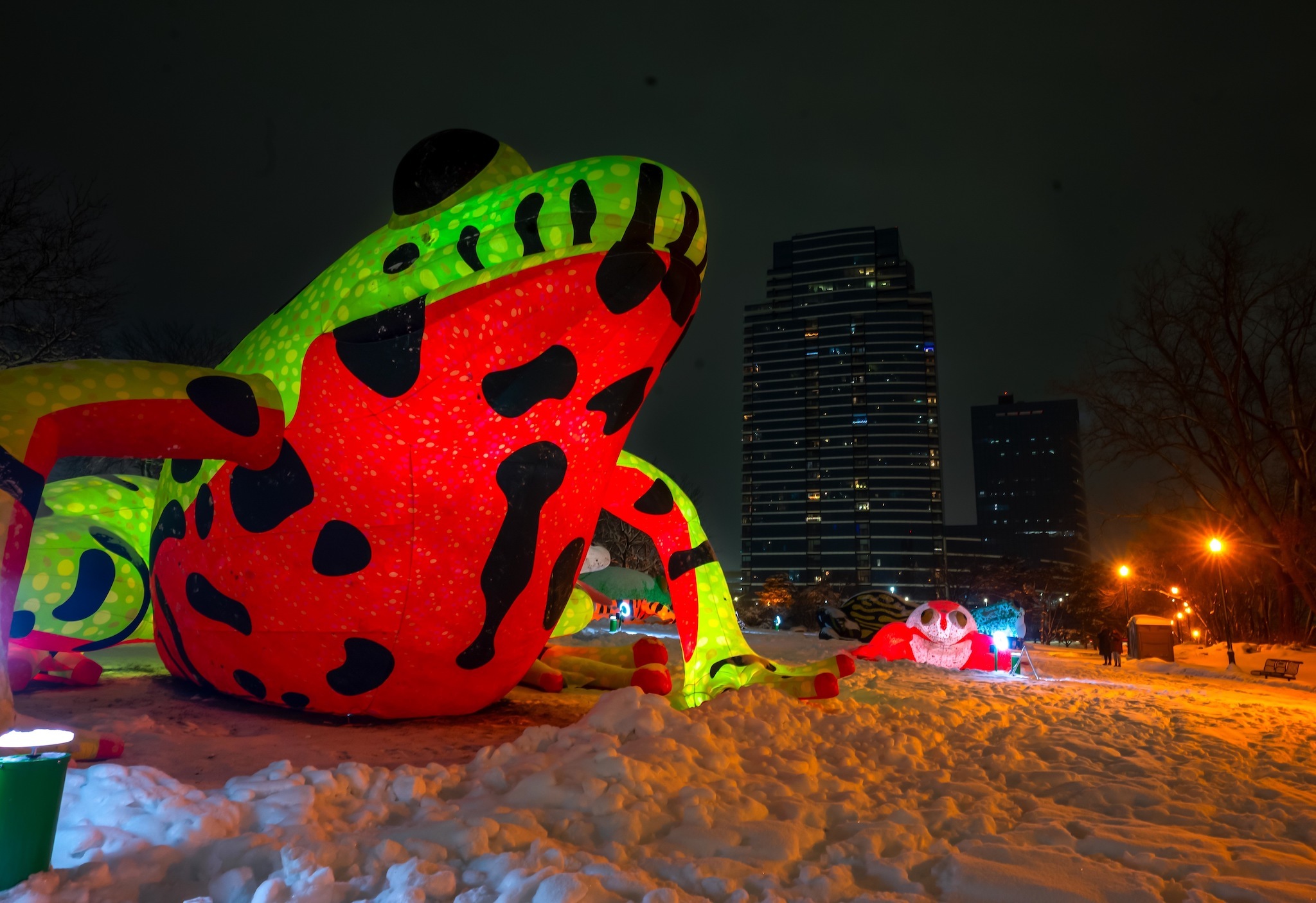 Festival du monde de l'hiver