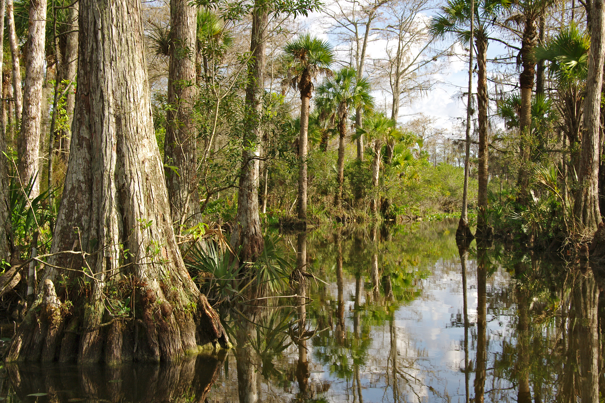 Voici pourquoi vous ne voulez jamais vous passer de lunettes polarisées en Floride
