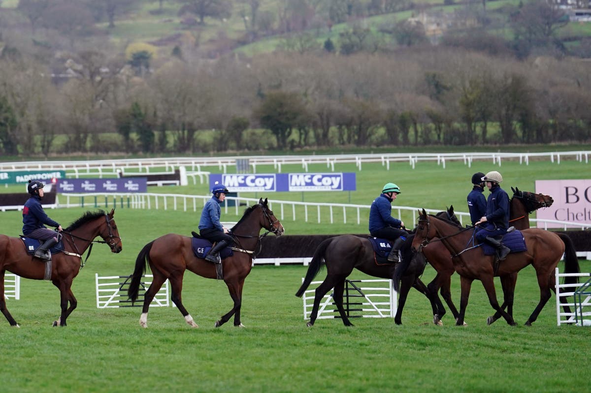 Cheltenham Festival 2024 : dates, prix des billets et comment les obtenir