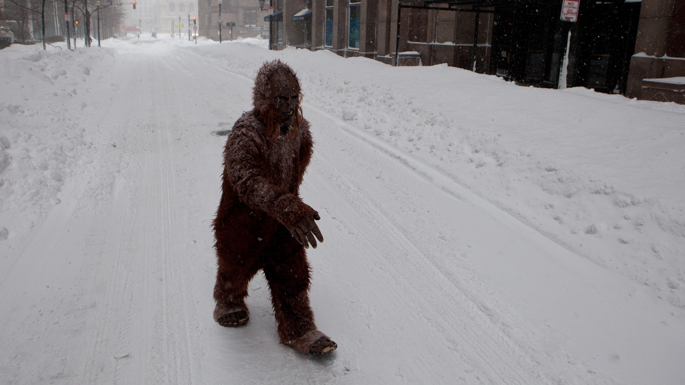 Bigfoot est-il réel ?  Un nouveau livre plonge au plus profond de la légende
