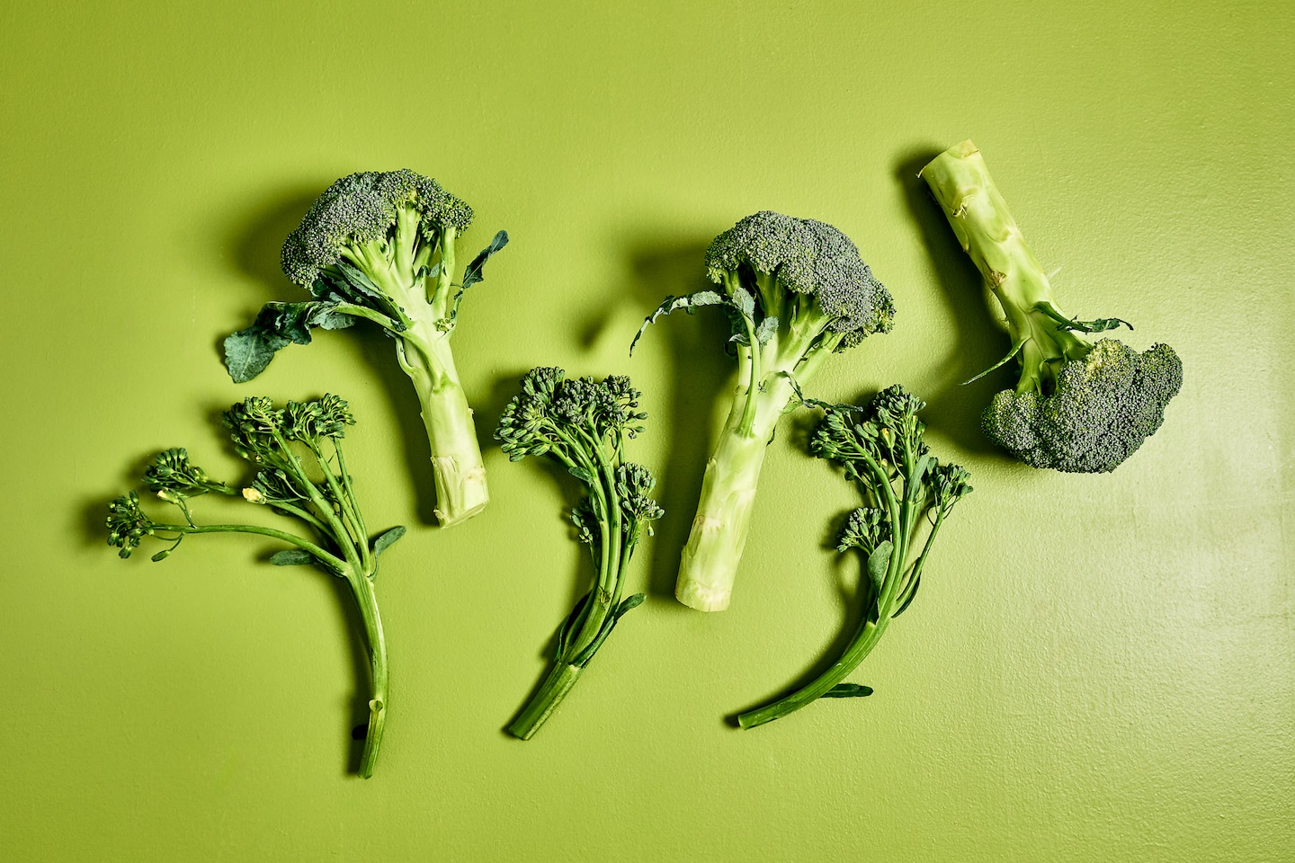 Vous avez demandé : quelle est la différence entre le brocoli et le broccolini ?