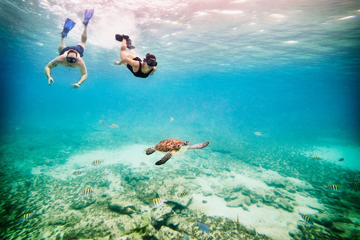 Inspirez-vous pour vos prochaines vacances avec ces expériences de voyage incontournables