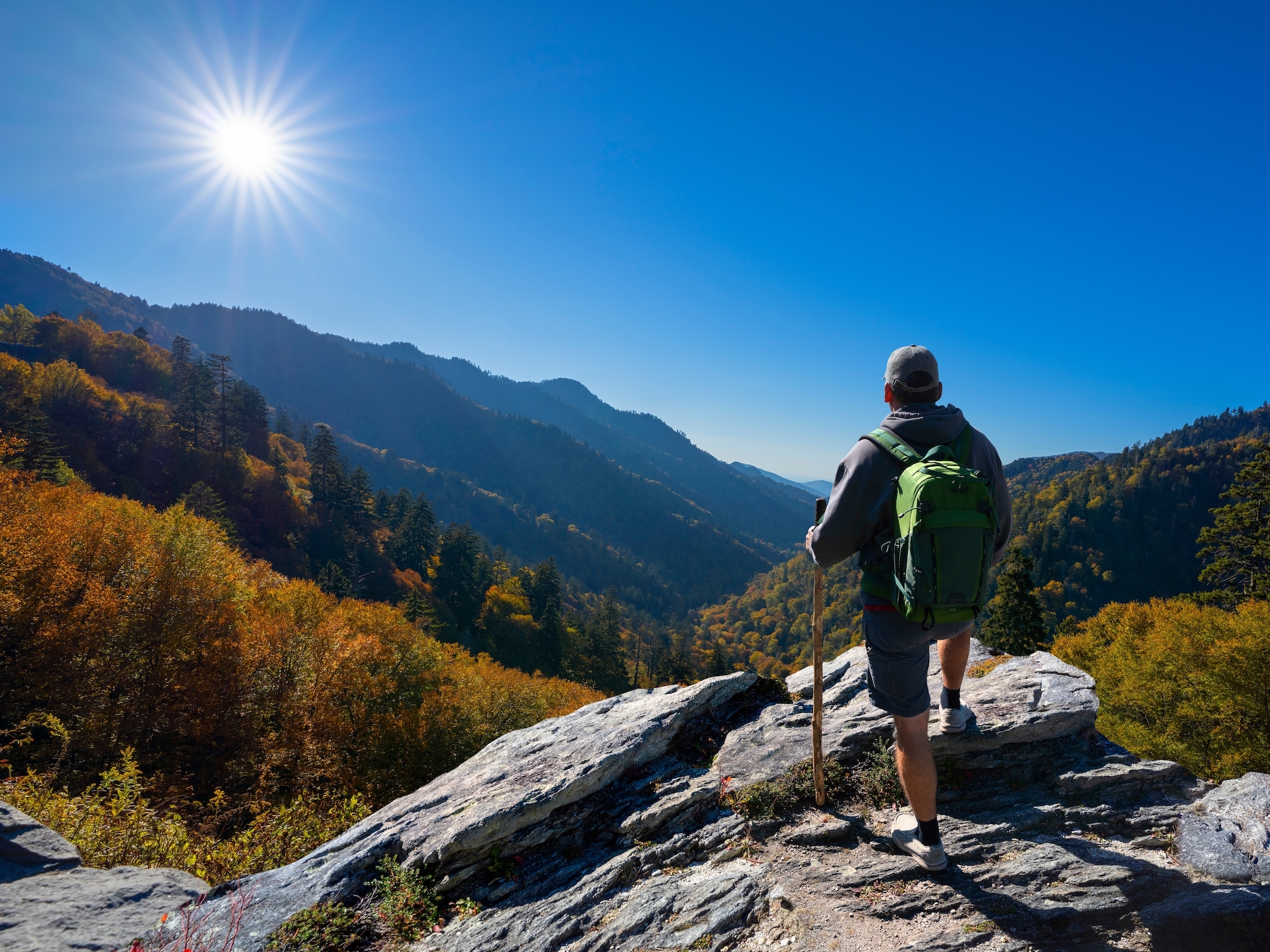 Ces parcs nationaux sont à la mode en ce moment