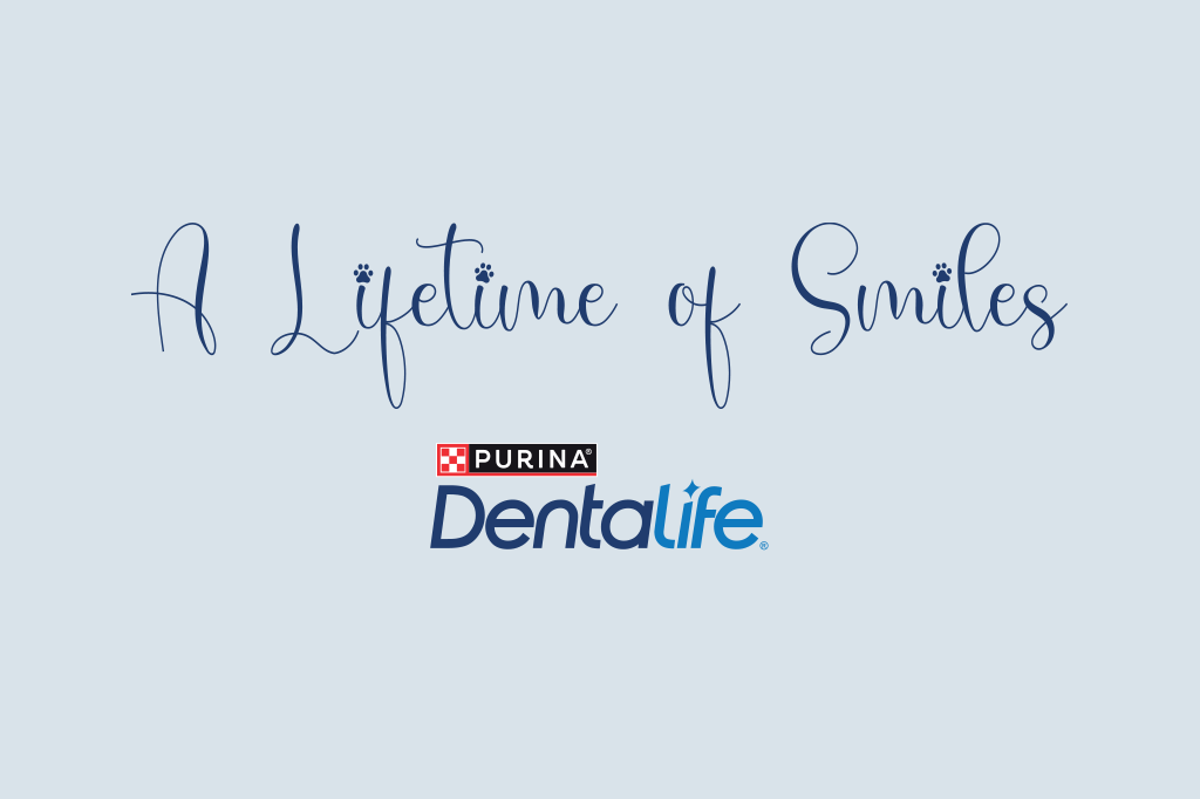 Partagez le moment de joie de votre chat ou chien pour gagner