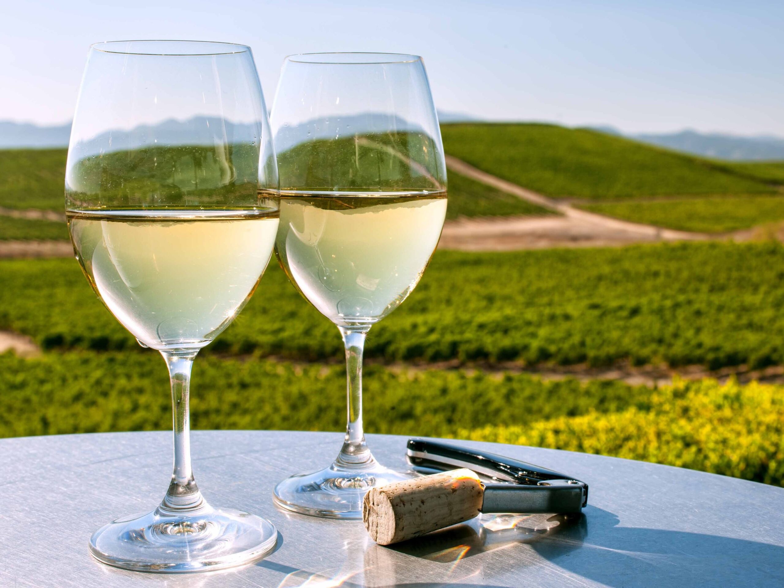 Vous partez pour la région viticole de Californie ?  Cette compagnie aérienne vérifiera votre vin gratuitement.