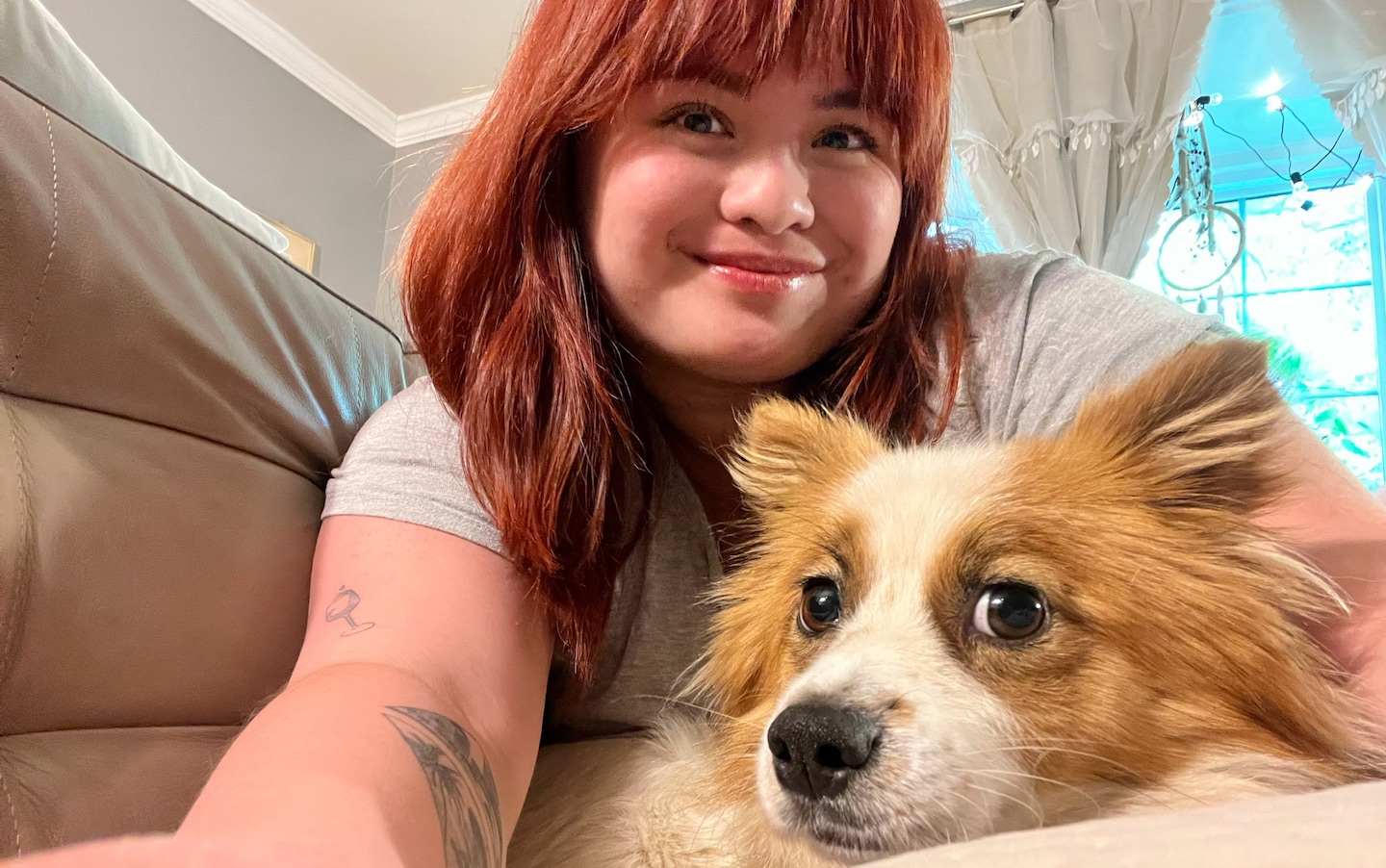 Autumn, un chien en fuite, finalement attrapé par un sauveteur animalier d'Arlington