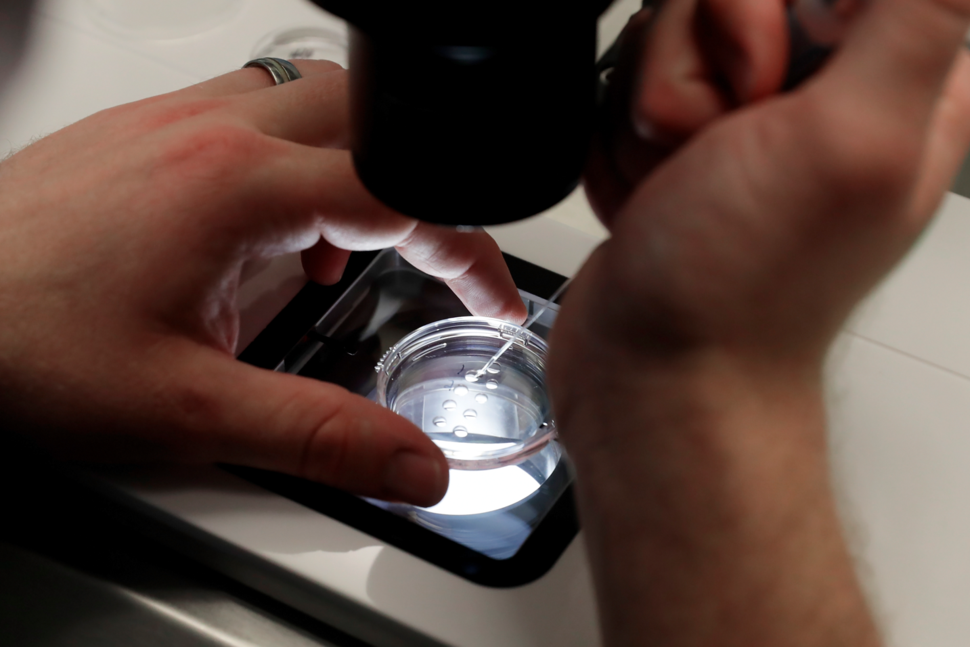 La FIV est entrée dans l’arène politique.  Mais qu’en pensent réellement les Américains ?  |  nouvelles nationales