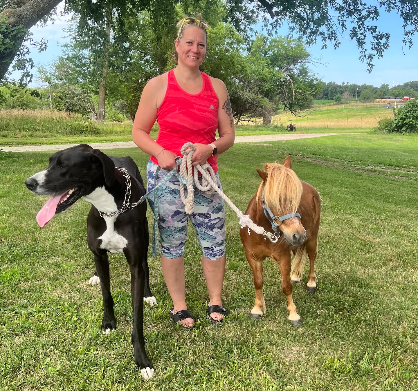 Le grand danois Kevin, sacré chien le plus grand du monde, craint toujours le vide