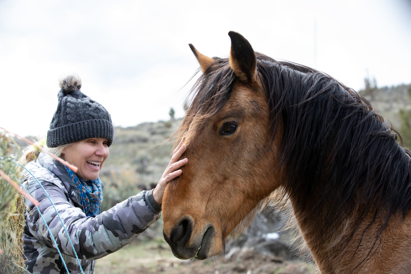 Un éleveur de l'Oregon s'efforce de réunir les chevaux sauvages avec leurs familles