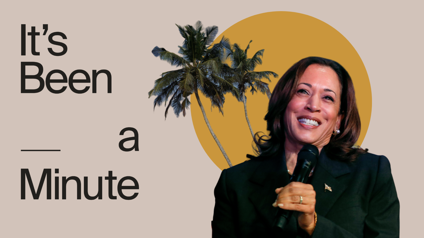 L'humour mal compris des mèmes politiques