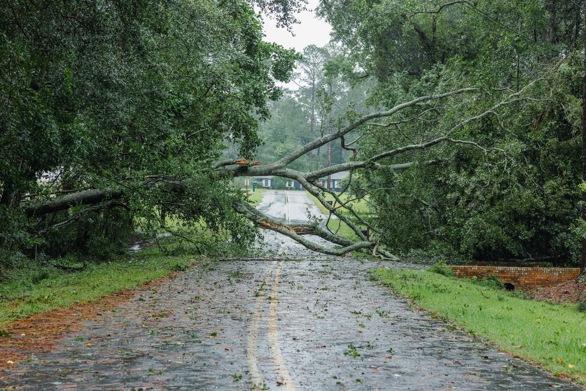 Comment aider les personnes touchées par l'ouragan Milton en Floride, y compris des informations sur les efforts de secours