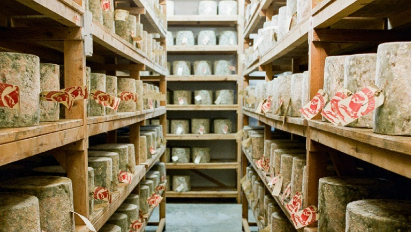 Des imposteurs ont volé des milliers de livres de cheddar chic, ébranlant le monde du fromage britannique